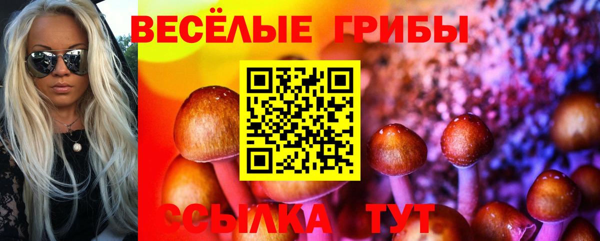 Сосновоборск  Псилоцибиновые грибы Magic Shrooms  Вход с VPN 